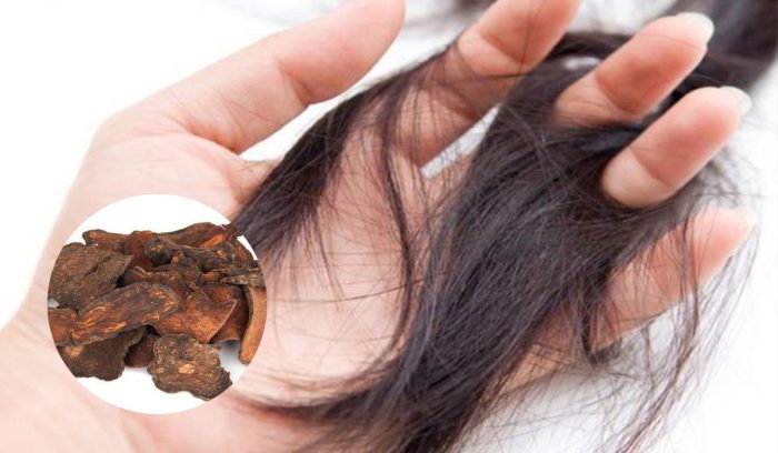 Cách dùng hà thủ ô trị rụng tóc hiệu quả