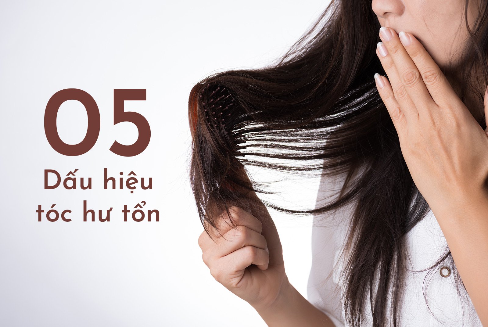 5 Dấu hiệu tóc hư tổn bạn cần phục hồi ngay